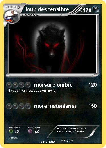 Pokemon loup des tenaibre