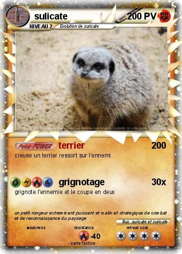Pokemon sulicate