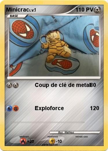 Pokemon Minicrac