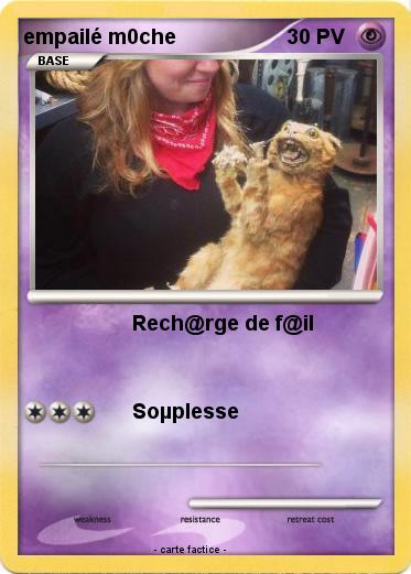 Pokemon empailé m0che