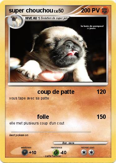 Pokemon super chouchou