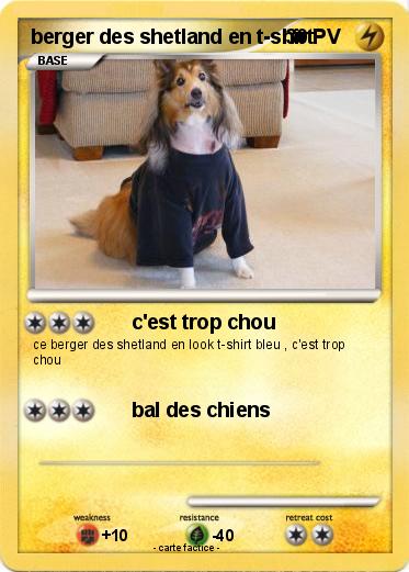 Pokemon berger des shetland en t-shirt