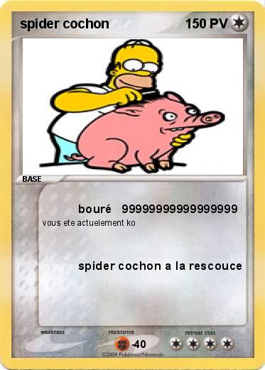 Pokemon spider cochon
