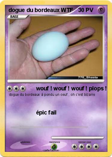 Pokemon dogue du bordeaux WTF
