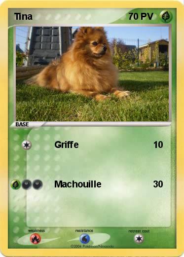 Pokemon Tina
