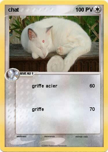 Pokemon chat 