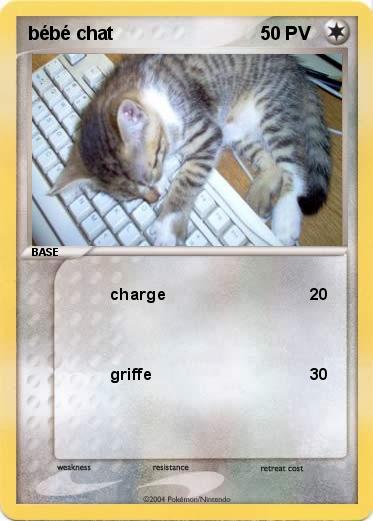 Pokemon bébé chat