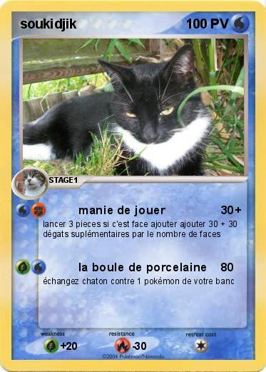 Pokemon soukidjik
