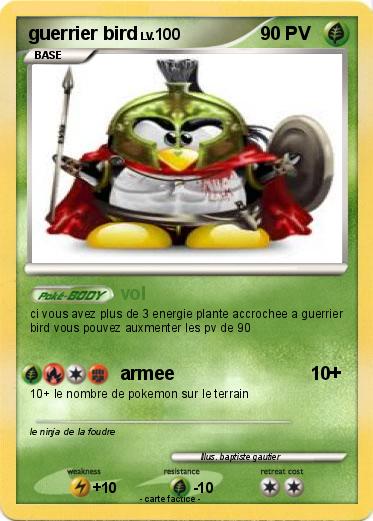 Pokemon guerrier bird