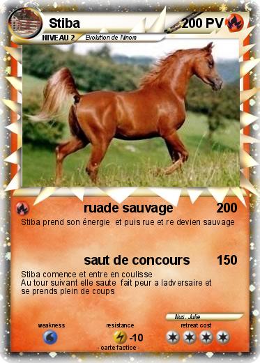 Pokemon Stiba