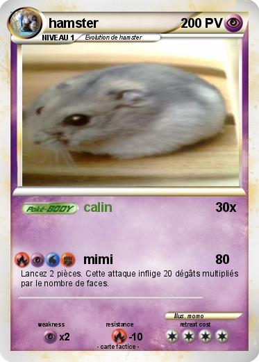 Pokemon hamster