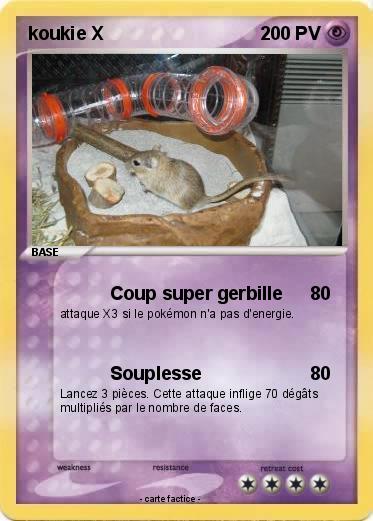 Pokemon koukie X