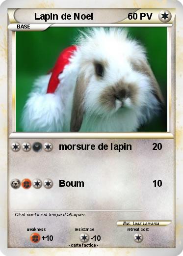 Pokemon Lapin de Noel