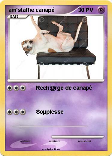 Pokemon am'staffie canapé