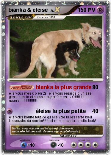 Pokemon bianka & eleise