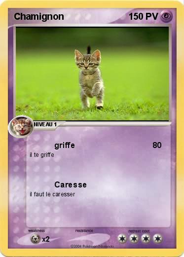 Pokemon Chamignon