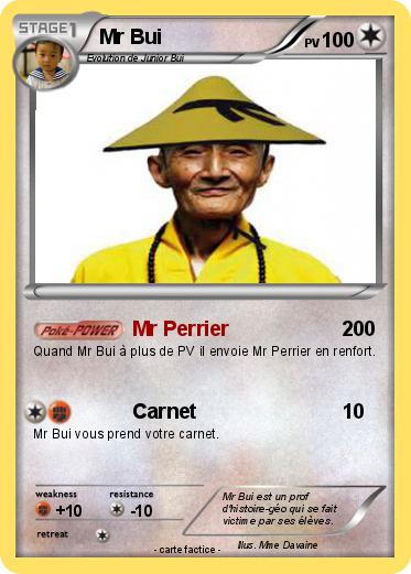 Pokemon Mr Bui