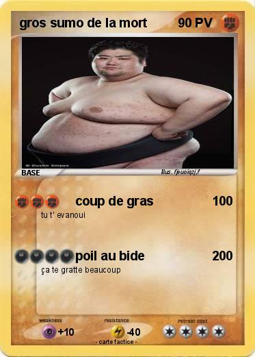 Pokemon gros sumo de la mort