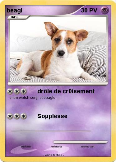 Pokemon beagi