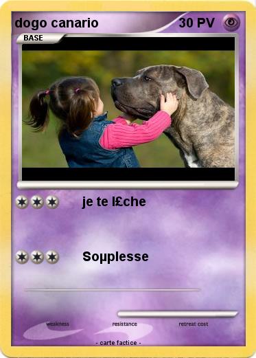 Pokemon dogo canario