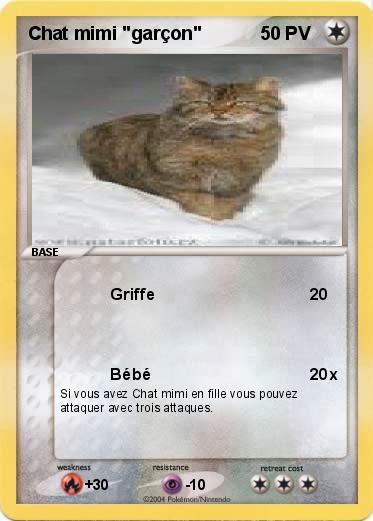 Pokemon Chat mimi "garçon"