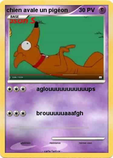 Pokemon chien avale un pigéon