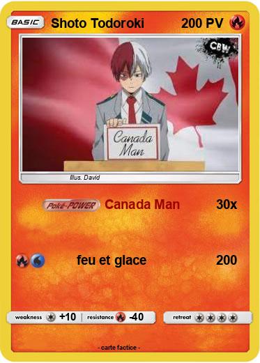 Pokemon Shoto Todoroki