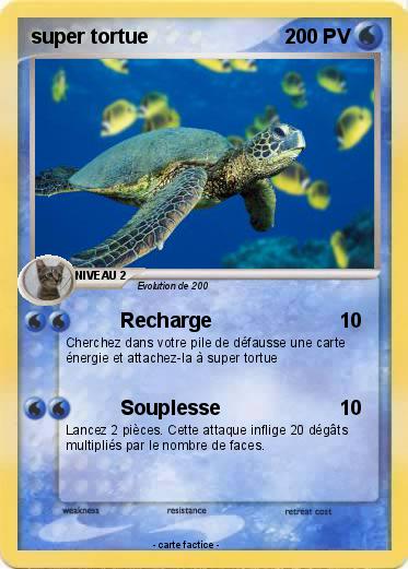Pokemon super tortue