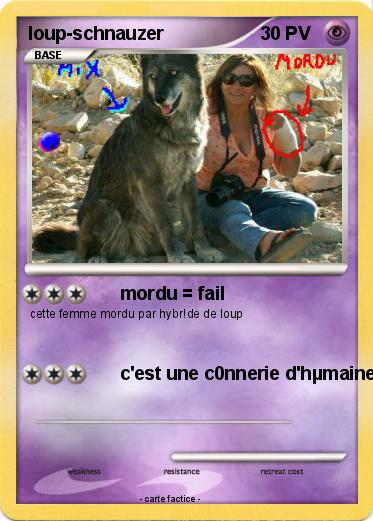 Pokemon loup-schnauzer