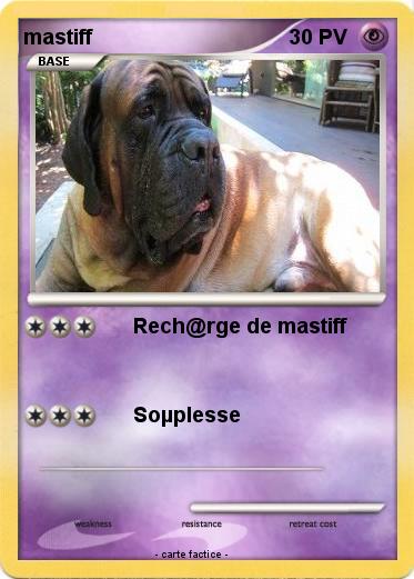 Pokemon mastiff