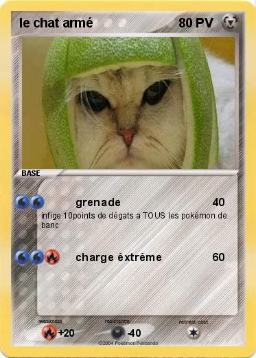 Pokemon le chat armé