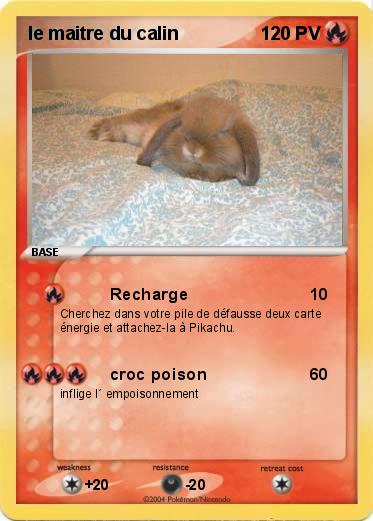 Pokemon le maitre du calin