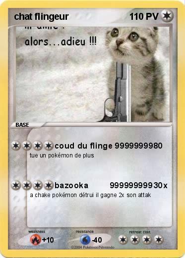 Pokemon chat flingeur