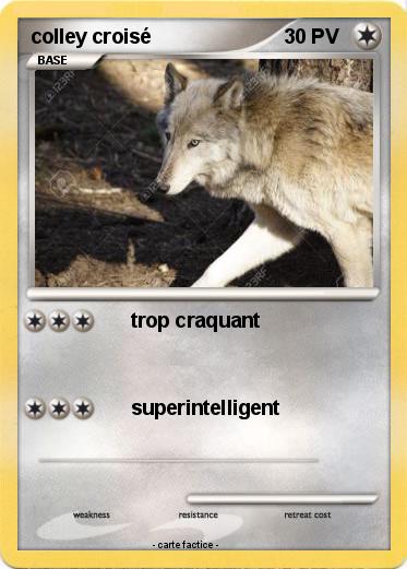 Pokemon colley croisé