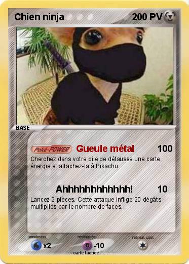 Pokemon Chien ninja