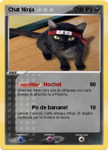 Pokemon Chat Ninja