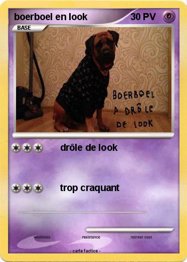 Pokemon boerboel en look