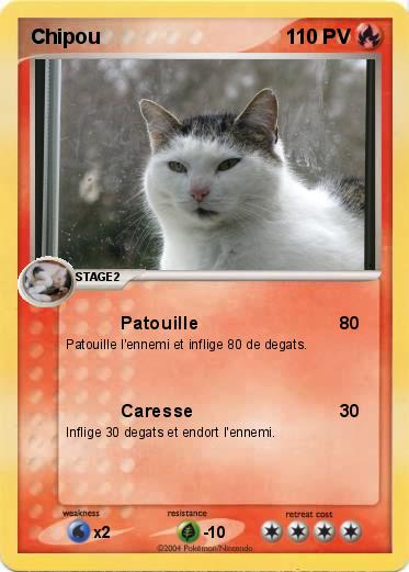 Pokemon Chipou