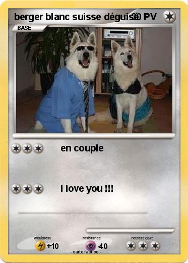 Pokemon berger blanc suisse déguisé