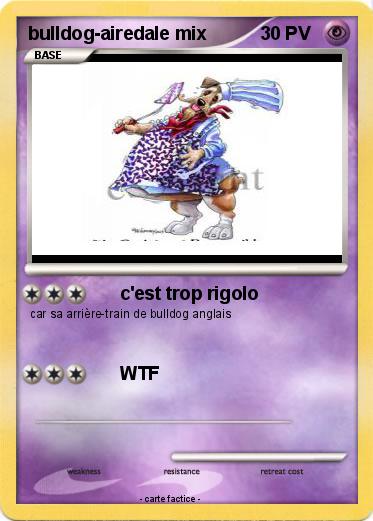 Pokemon bulldog-airedale mix