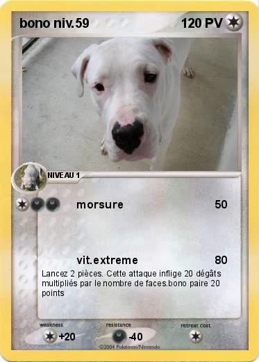 Pokemon bono niv.59