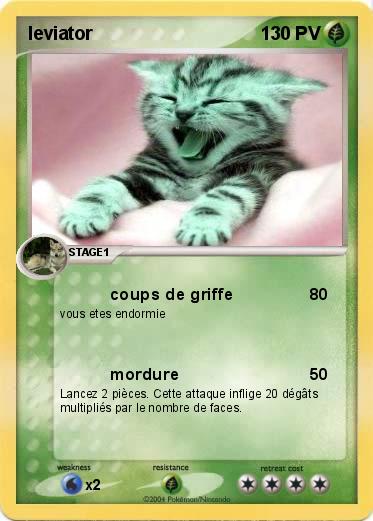 Pokemon leviator