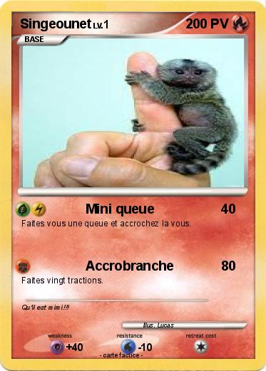 Pokemon Singeounet
