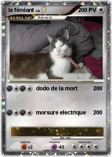 Pokemon le fénéant