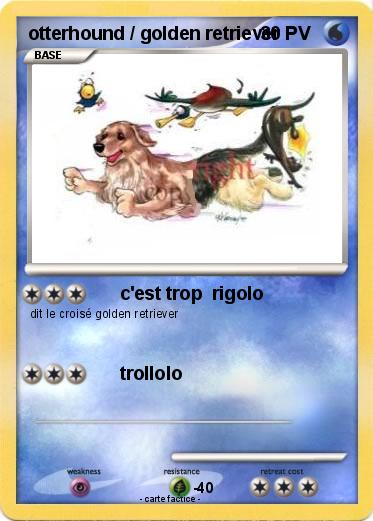 Pokemon otterhound / golden retriever