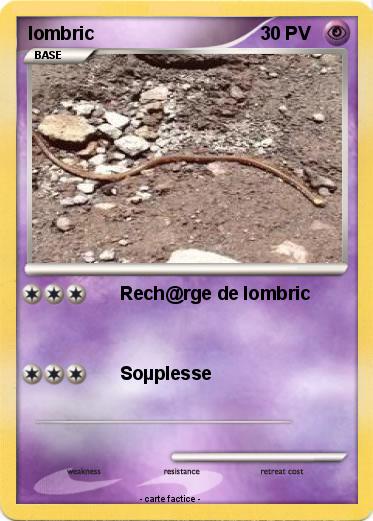 Pokemon lombric