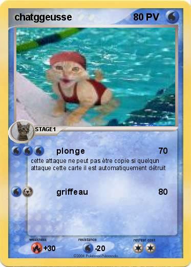 Pokemon chatggeusse