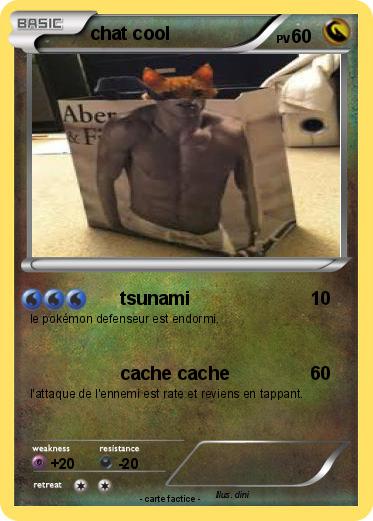 Pokemon chat cool