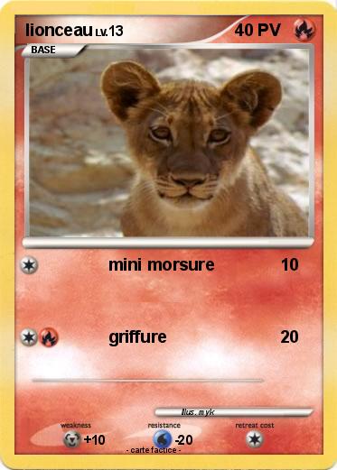 Pokemon lionceau