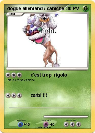 Pokemon dogue allemand / caniche
